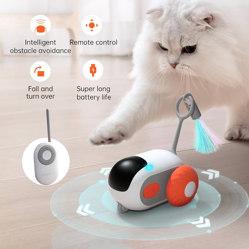 Chase the Fun: Remote Pet Car