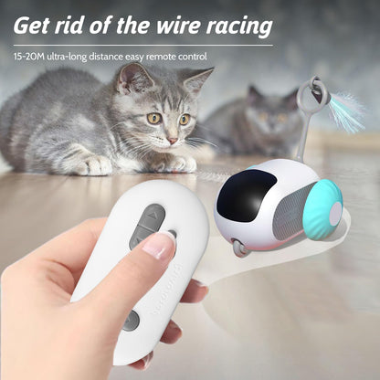 Chase the Fun: Remote Pet Car